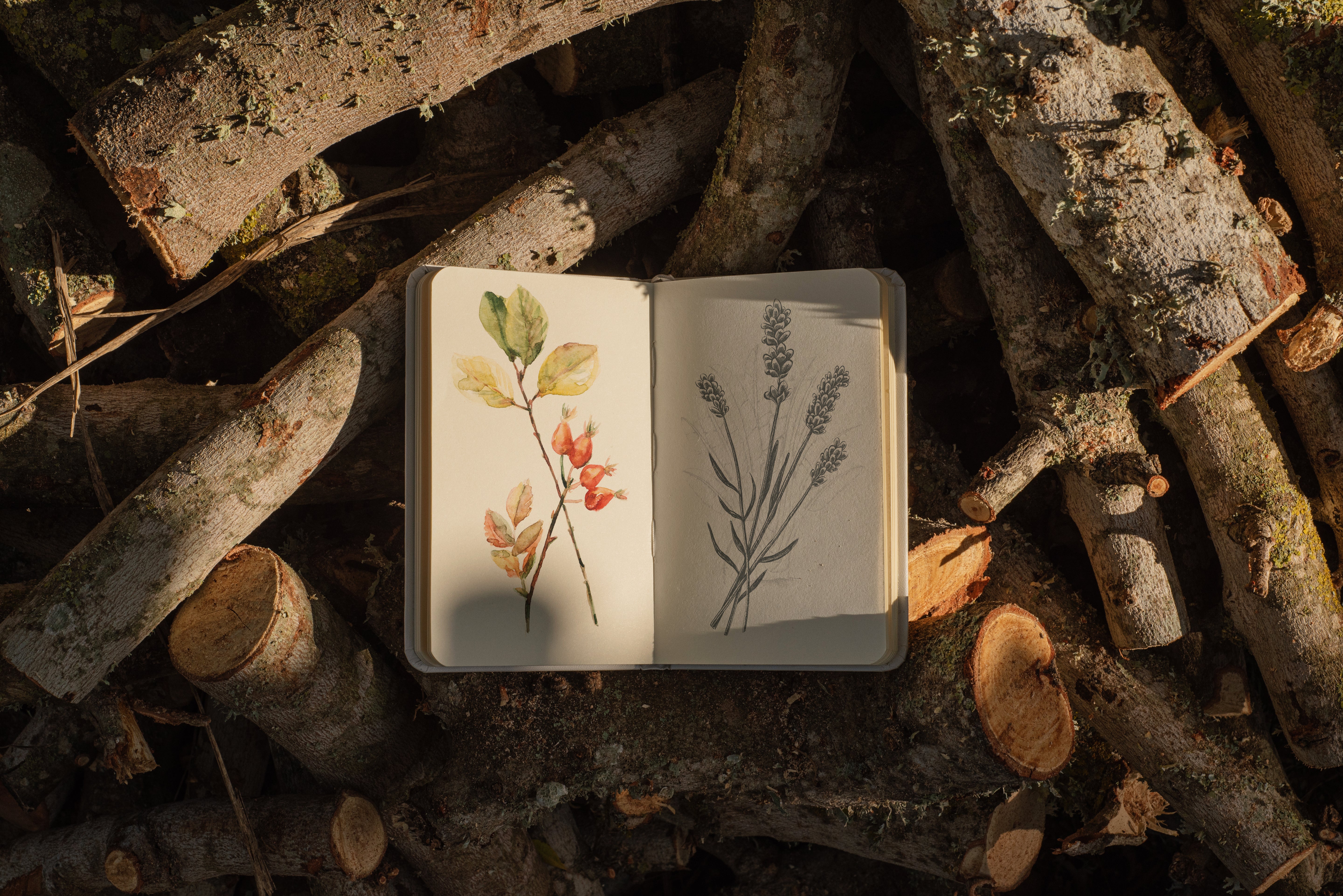 FREE Sketchbook Mockup